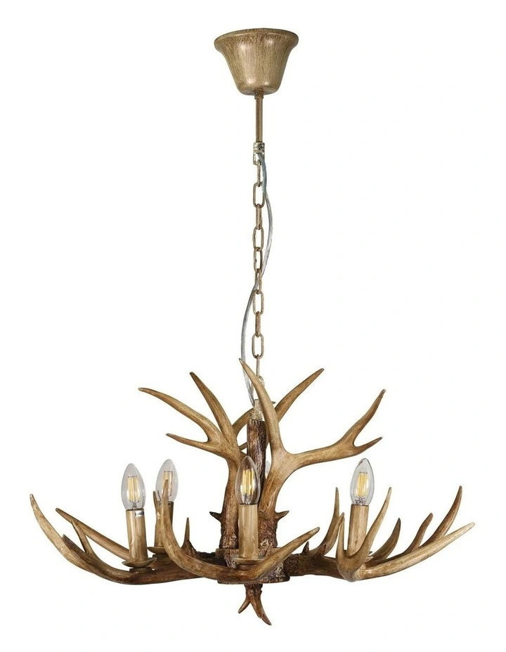 Hyort Kd Version Designer Pendant Light 6lt image 1
