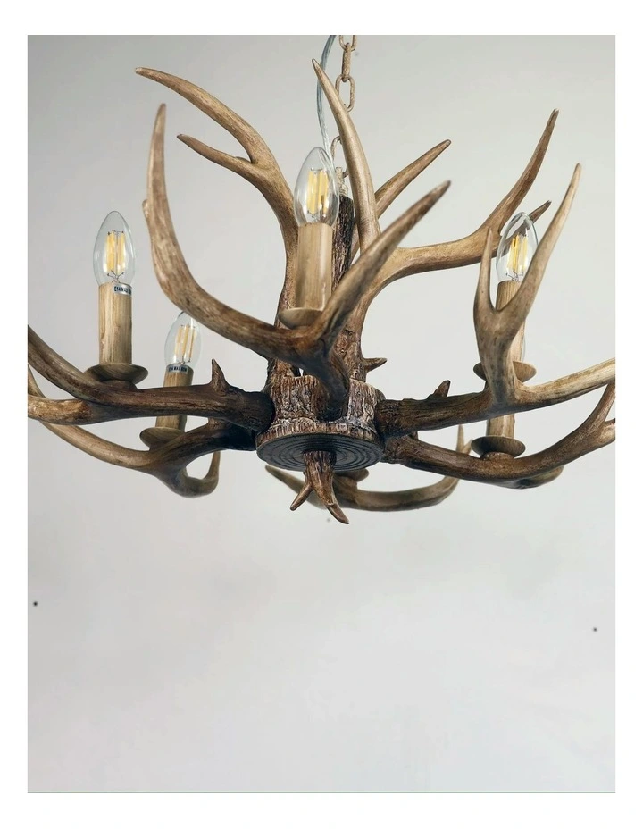 Hyort Kd Version Designer Pendant Light 6lt image 6