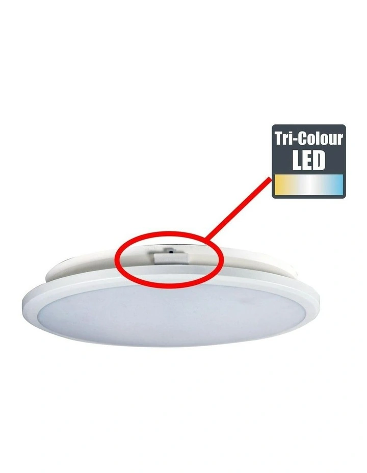 Omar 30 Ceiling Light White image 6