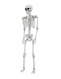 Yezi Halloween Decorations Skeleton 169cm Life Size Posable ABS White