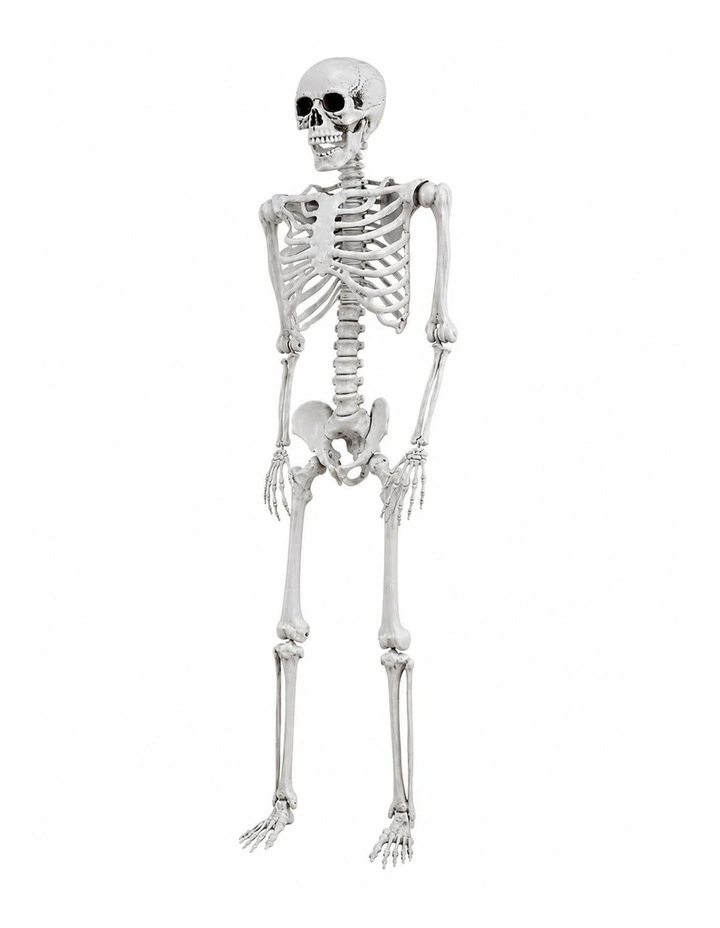 Yezi Halloween Decorations Skeleton 169cm Life Size Posable ABS White image 1