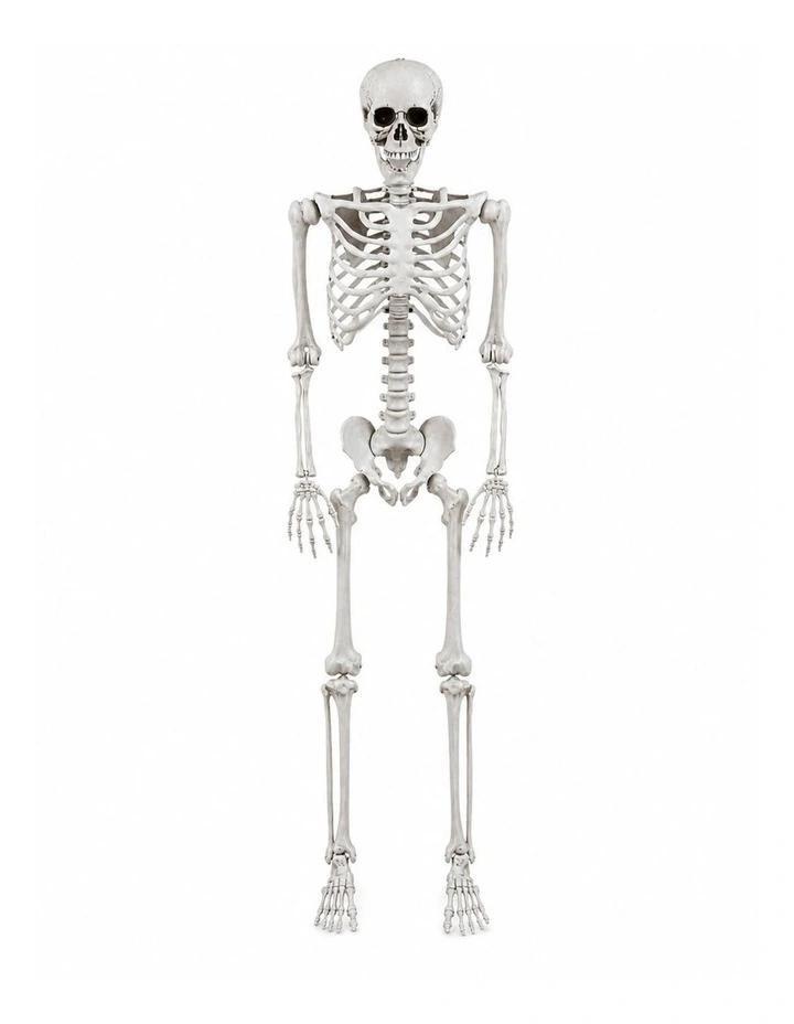 Yezi Halloween Decorations Skeleton 169cm Life Size Posable ABS White image 2