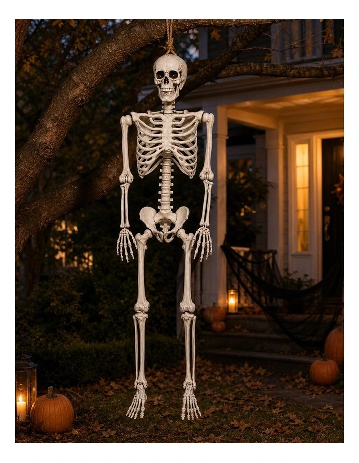 Yezi Halloween Decorations Skeleton 169cm Life Size Posable ABS White image 5