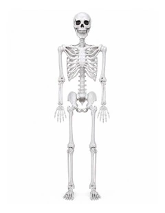 Yezi Halloween Skeleton Life Size Scary Skeleton 185cm Poseable ABS White