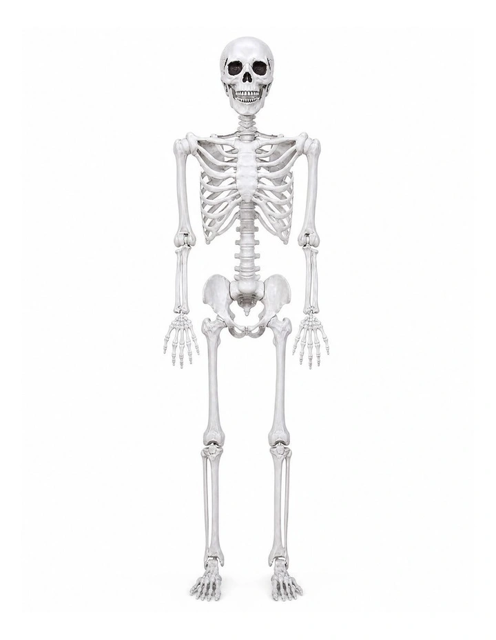 Yezi Halloween Skeleton Life Size Scary Skeleton 185cm Poseable ABS White image 1