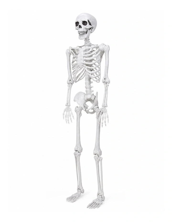 Yezi Halloween Skeleton Life Size Scary Skeleton 185cm Poseable ABS White image 2