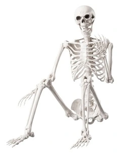 Yezi Halloween Decorations Life Size Skeleton 165cm Poseable ABS White