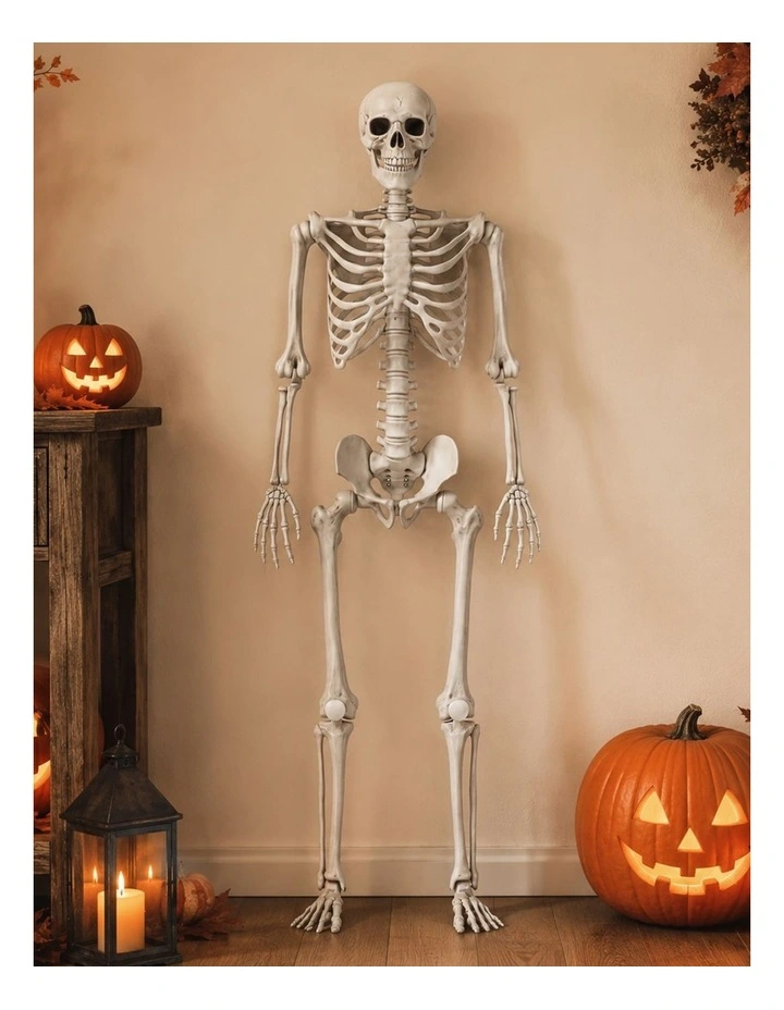 Yezi Halloween Decorations Life Size Skeleton 165cm Poseable ABS White image 5