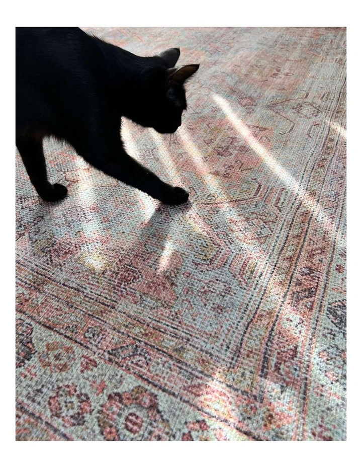 MISS AMARA  NAREM PINK ORANGE AND BLUE TRADITIONAL DISTRESSED WASHABLE RUG image 6
