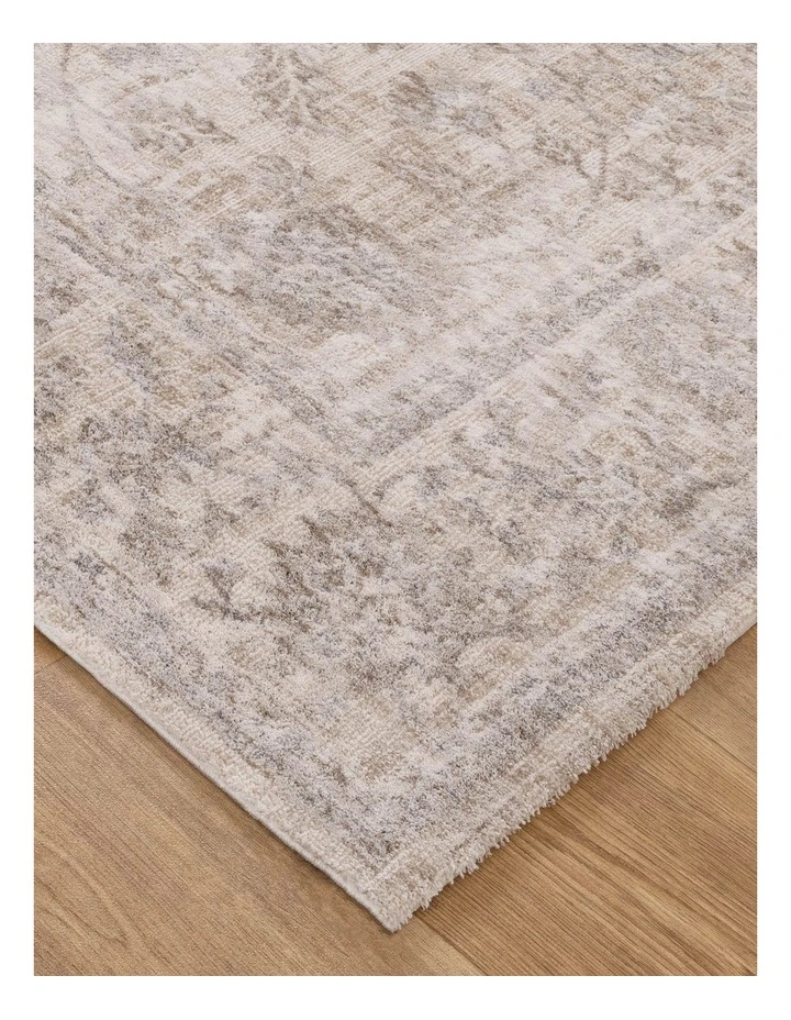 Solenne Beige & Blue Transitional Rug - S300 image 2