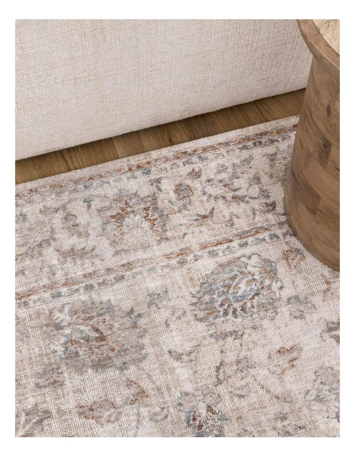 Solenne Multi Transitional Rug - S400 image 4