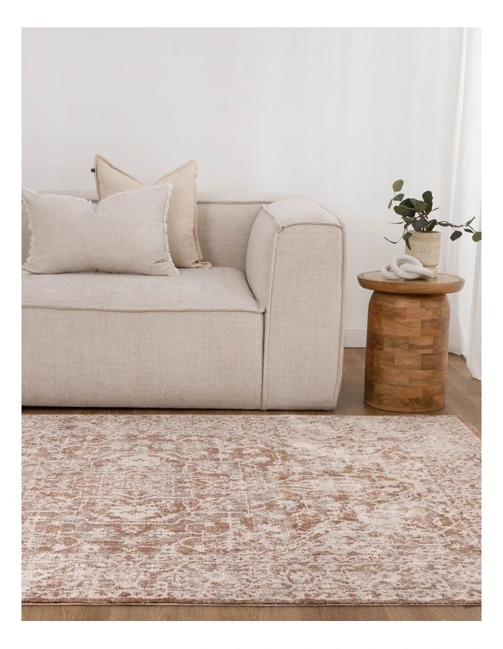 Solenne Beige & Rust Distressed Vintage Rug - S200 image 5