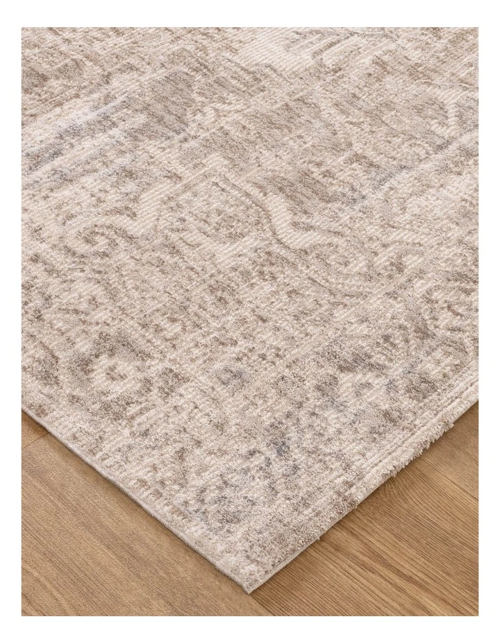 Solenne Beige & Blue Distressed Vintage Rug - S100 image 2