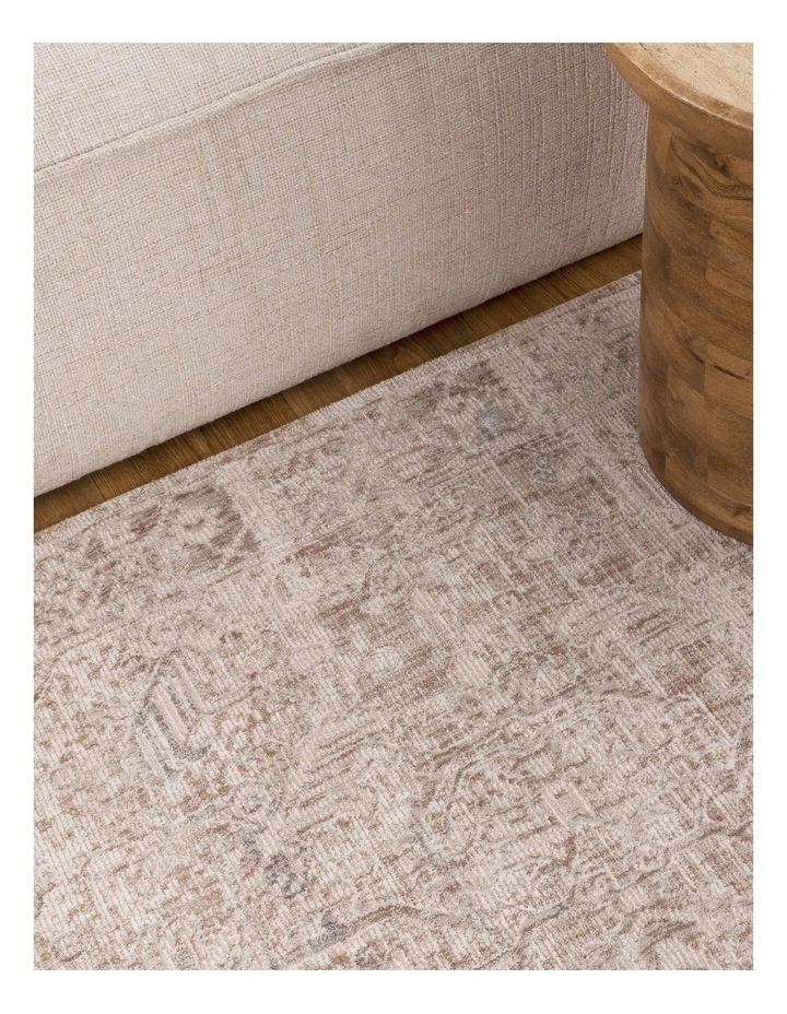 Solenne Beige & Blue Distressed Vintage Rug - S100 image 4