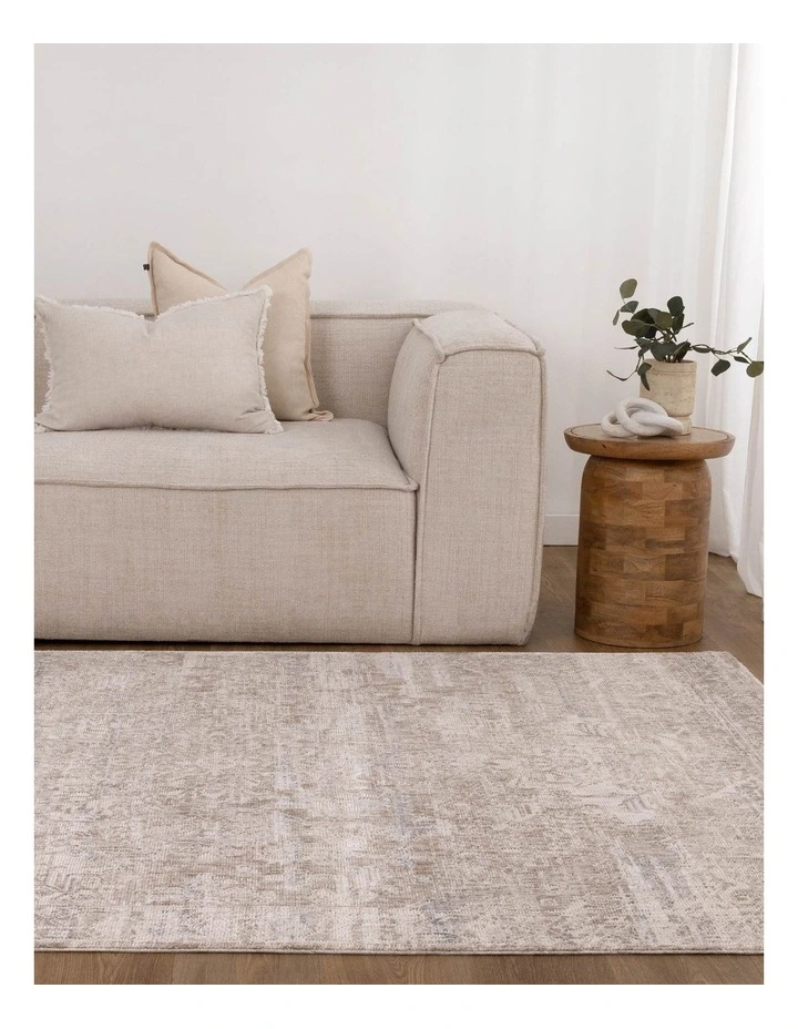 Solenne Beige & Blue Distressed Vintage Rug - S100 image 5