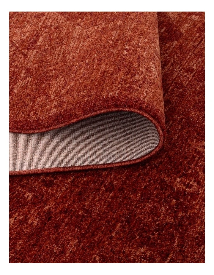 Heritage Distressed Medallion Rust Rug - H101 image 3