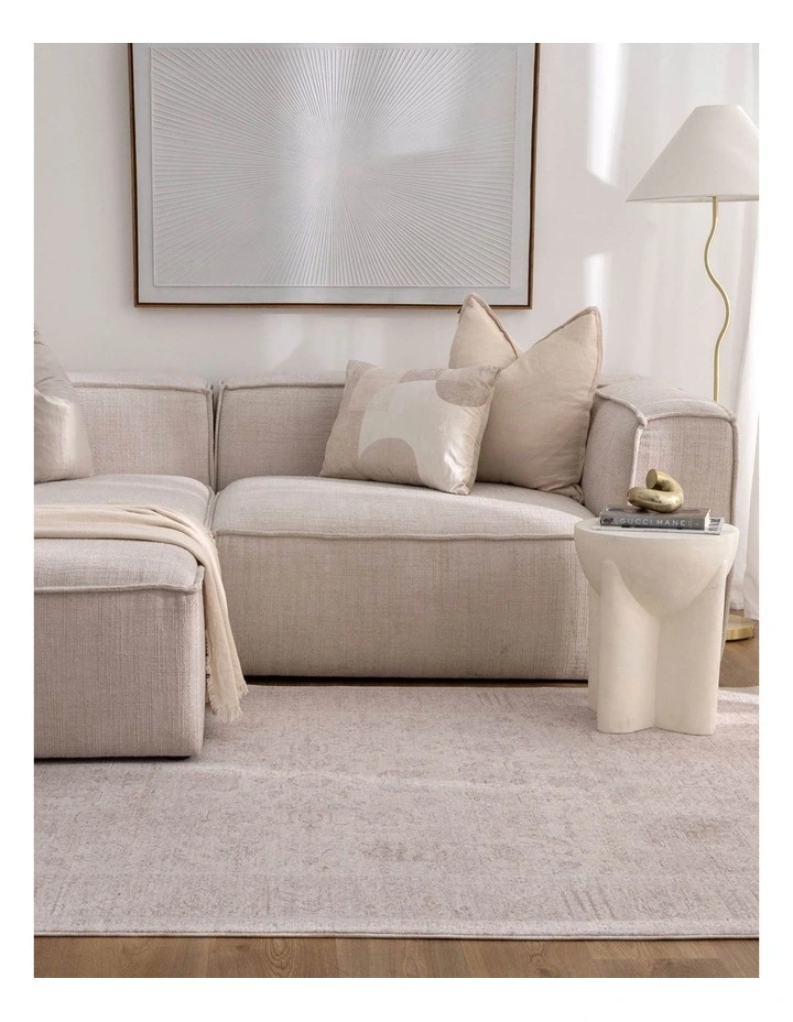 Heritage Distressed Border Beige Rug - H106 image 4