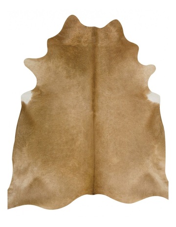 Beige colour