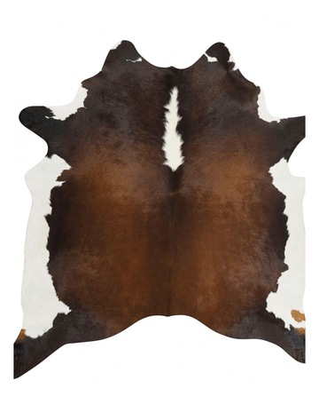 Dark Brown colour