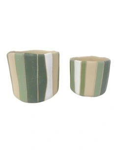 Willow & Silk Stripe Hype Pot