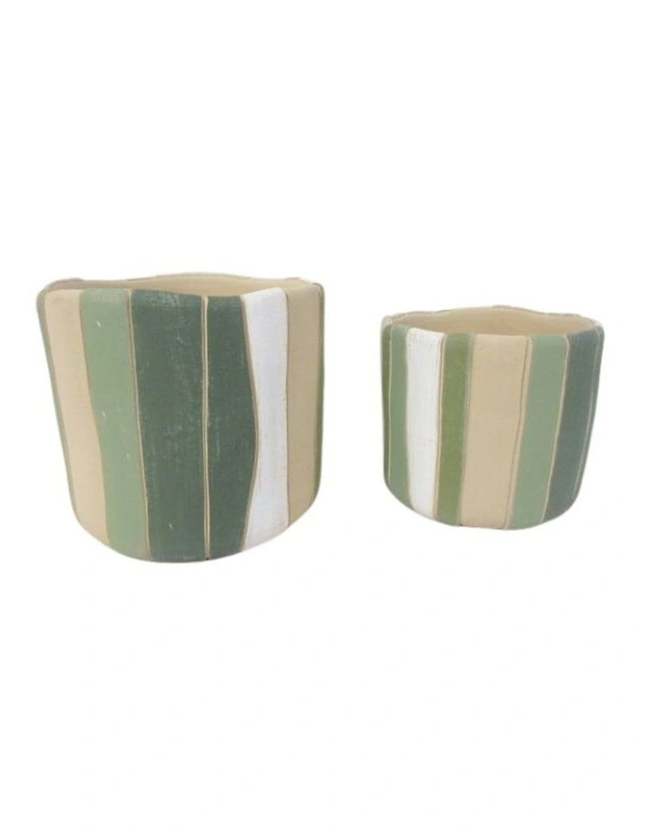 Willow & Silk Stripe Hype Pot image 2