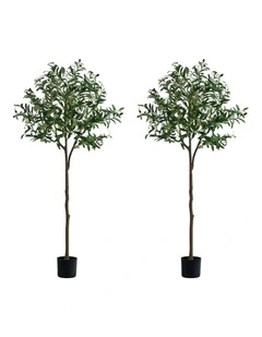 Livsip 2 Pack Artificial Olive Tree Faux Potted Plants 150cm