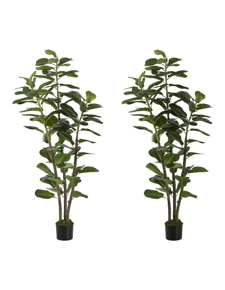 Livsip 2PCS Artificial Fiddle Leaf Fig Tree 150cm Lifelike Faux Potted Plant image 1