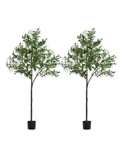Livsip 2 Pack Artificial Olive Tree Faux Potted Plants 180cm