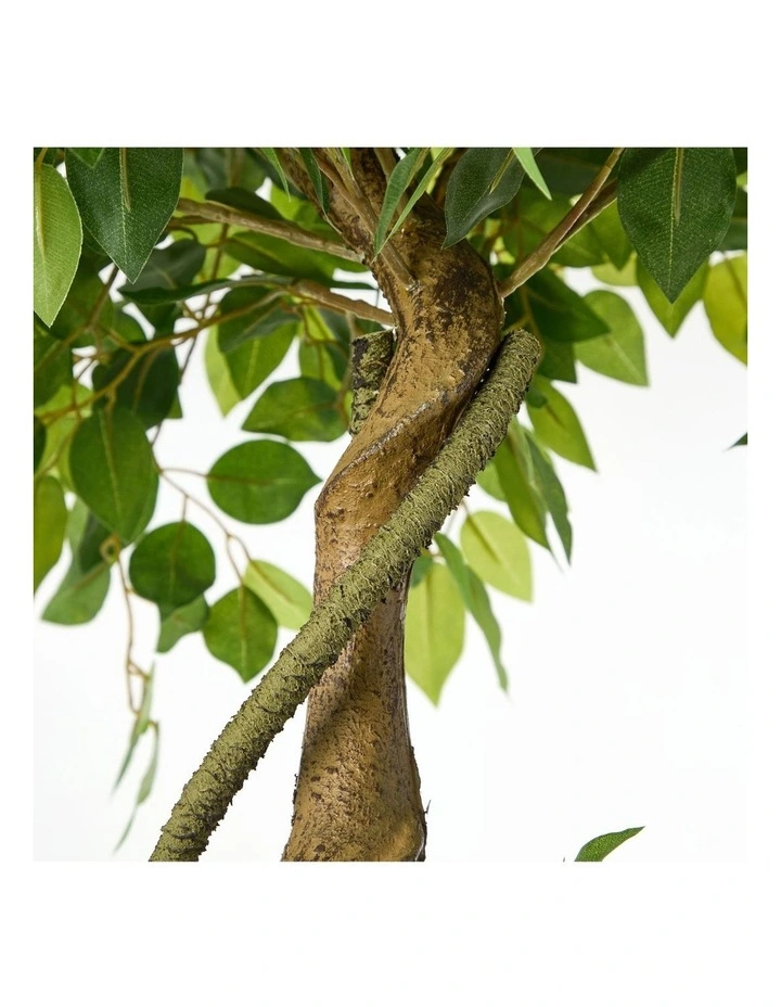Livsip 2PCS Artificial Ficus Tree 180cm Large Twisted Ficus Faux Potted Plant image 2