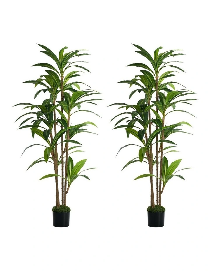 Livsip 2PCS Artificial Dracaena Tree 150cm Potted Faux Plant image 1