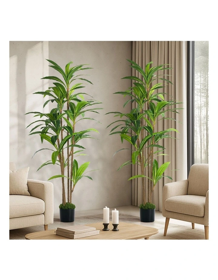 Livsip 2PCS Artificial Dracaena Tree 150cm Potted Faux Plant image 4