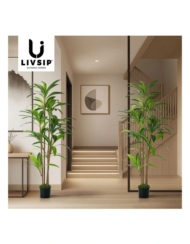 Livsip 2PCS Artificial Dracaena Tree 150cm Potted Faux Plant image 7