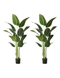 Livsip 2 Pack Artificial Bird of Paradise Plant 180cm