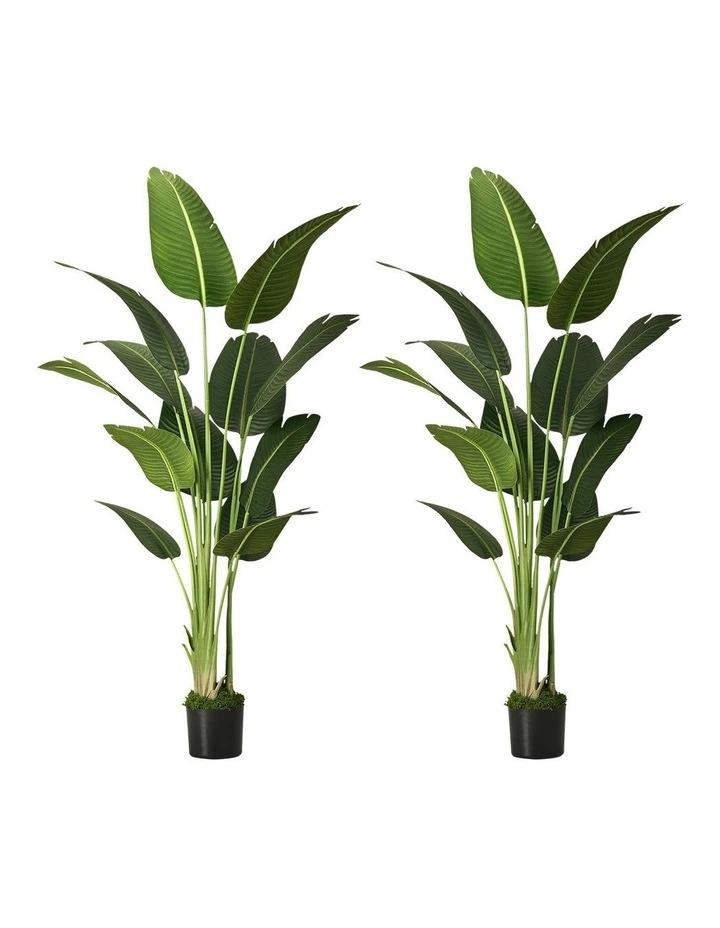 Livsip 2 Pack Artificial Bird of Paradise Plant 180cm image 1