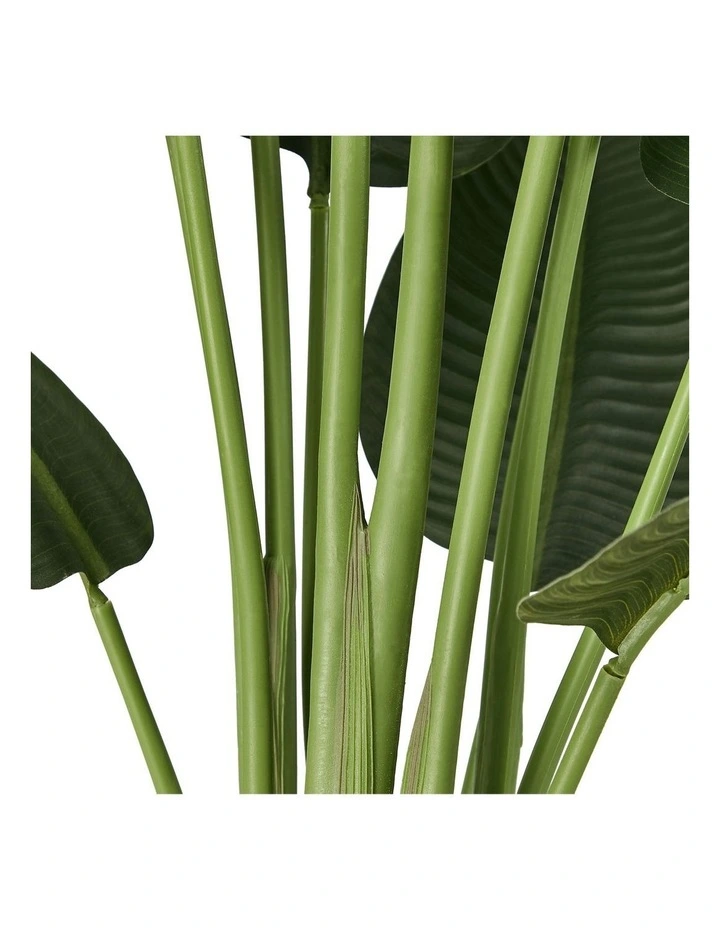 Livsip 2 Pack Artificial Bird of Paradise Plant 180cm image 2
