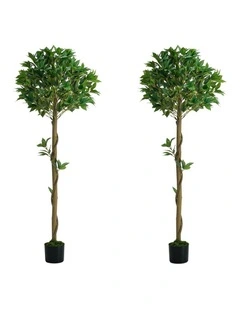Livsip 2 Pack Artificial Bay Tree Potted Laurel Ball Topiary Faux Plant 150cm