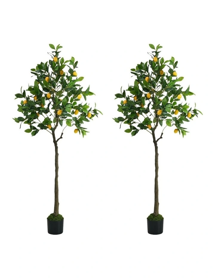 Livsip 2 Pack Artificial Lemon Tree 150cm Realistic Potted Faux Plant image 1
