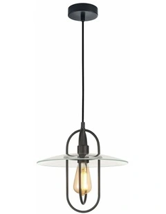 Papillon Interior Oblong Iron with Glass Coolie Pendant Lights