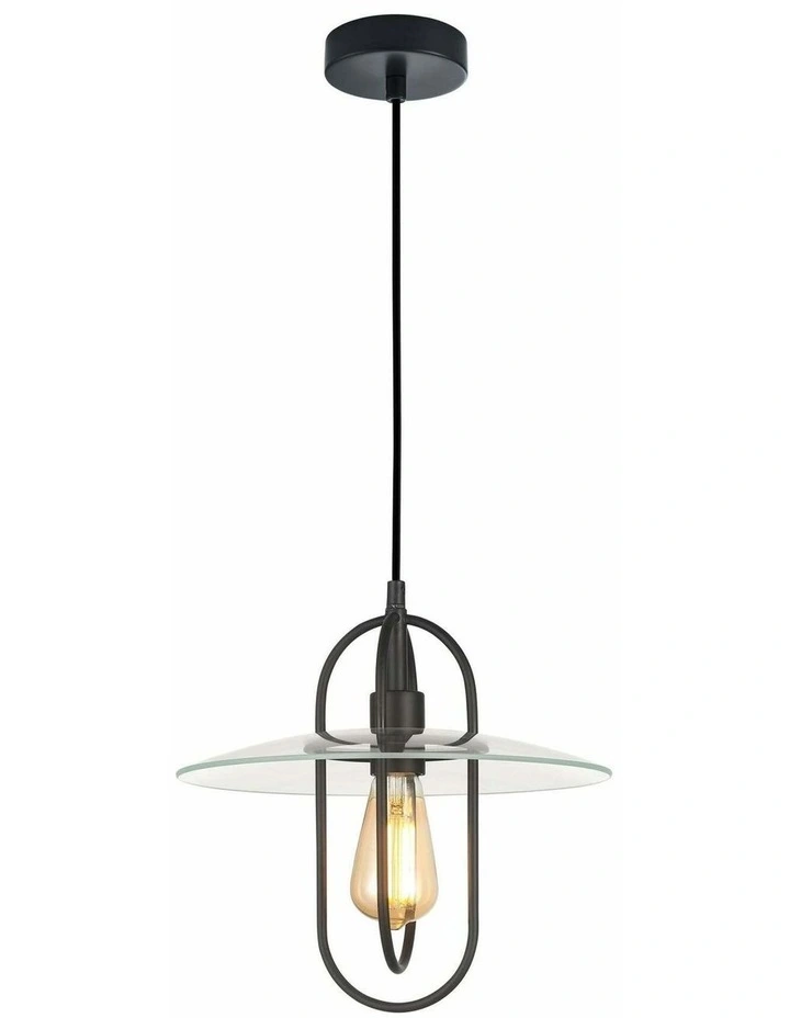 Papillon Interior Oblong Iron with Glass Coolie Pendant Lights image 1