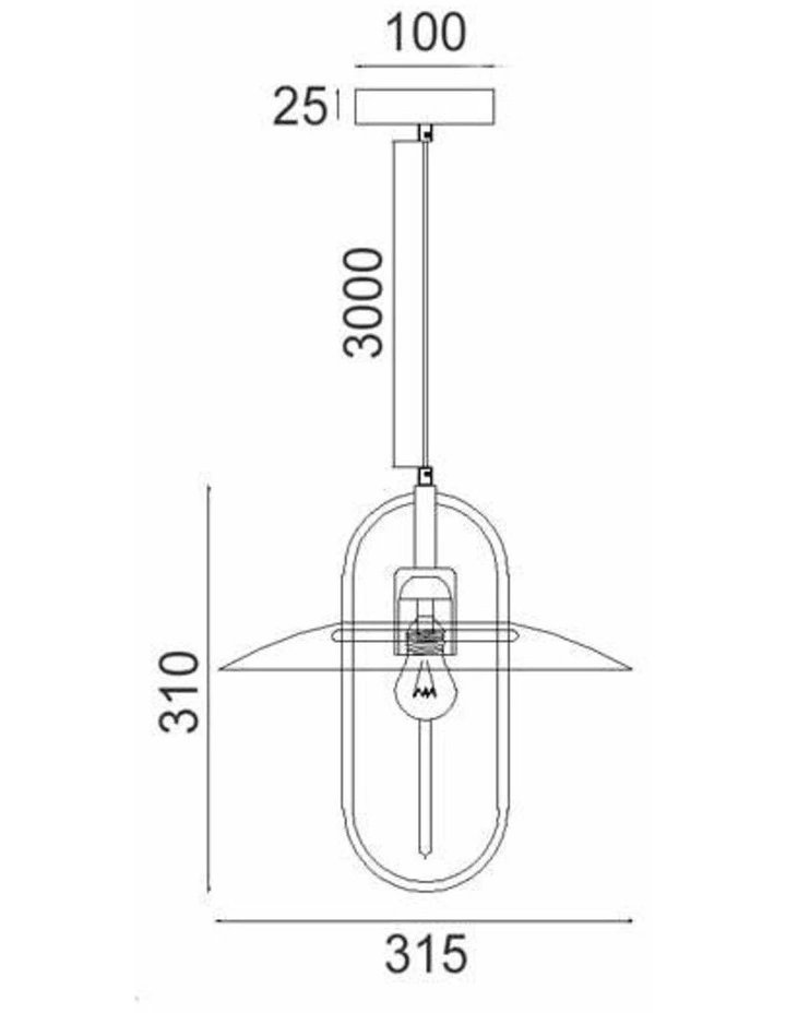 Papillon Interior Oblong Iron with Glass Coolie Pendant Lights image 5