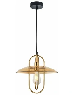 Papillon Interior Oblong Iron with Glass Coolie Pendant Lights
