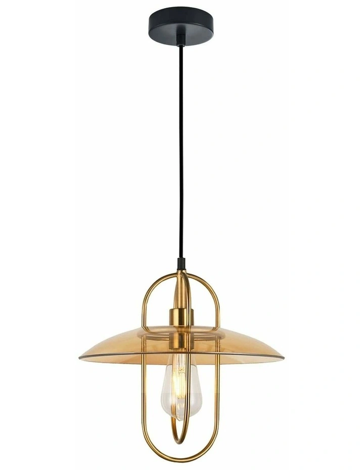 Papillon Interior Oblong Iron with Glass Coolie Pendant Lights image 1