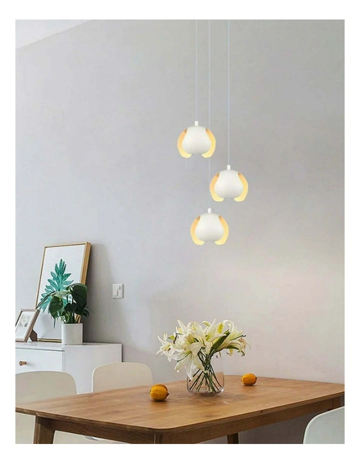 Vaina Minimalist Scandinavian Interior Small Iron Dome Shape Pendant Lights image 2