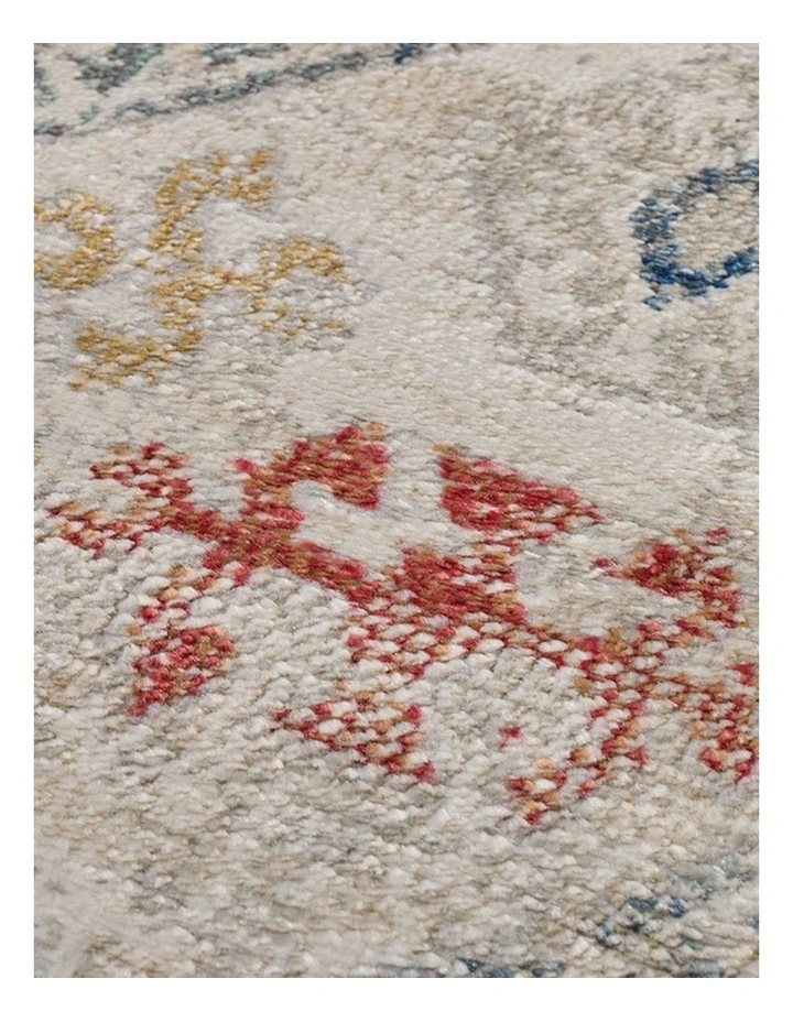 Fab Habitat Chetak Distressed Rug in Multicolour image 3