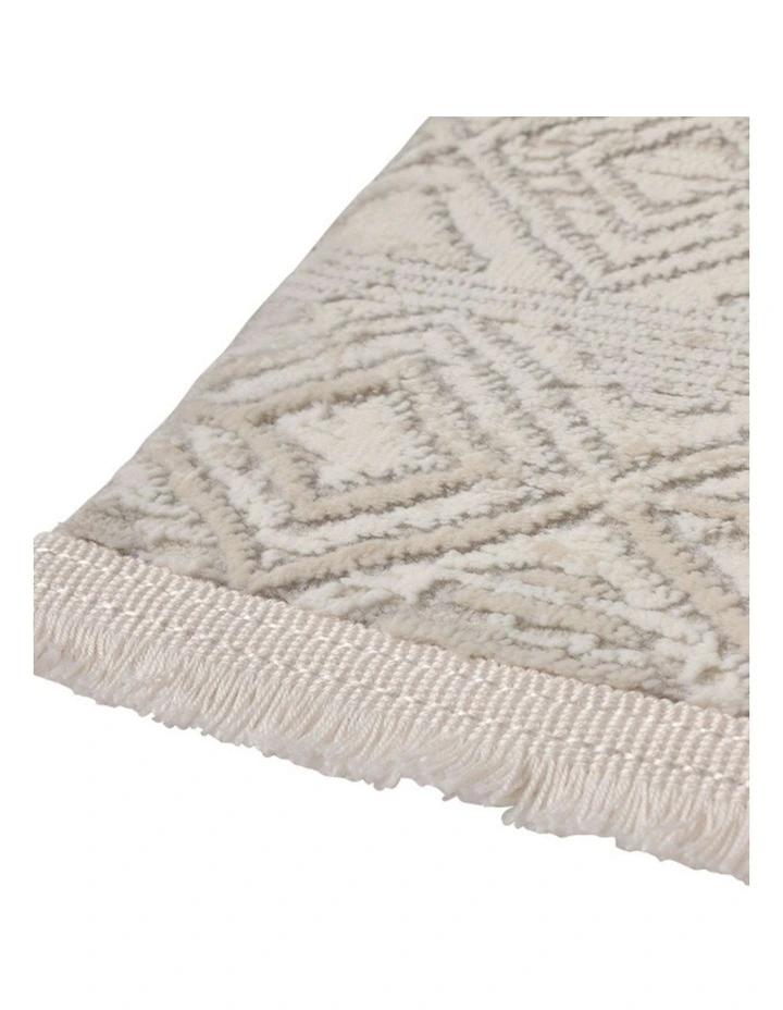 Fab Habitat Erika Distressed Rug in Grey image 5