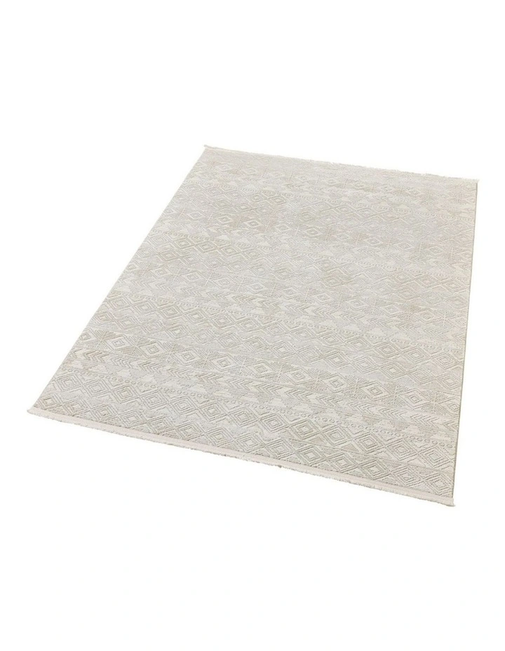 Fab Habitat Erika Distressed Rug in Grey image 6