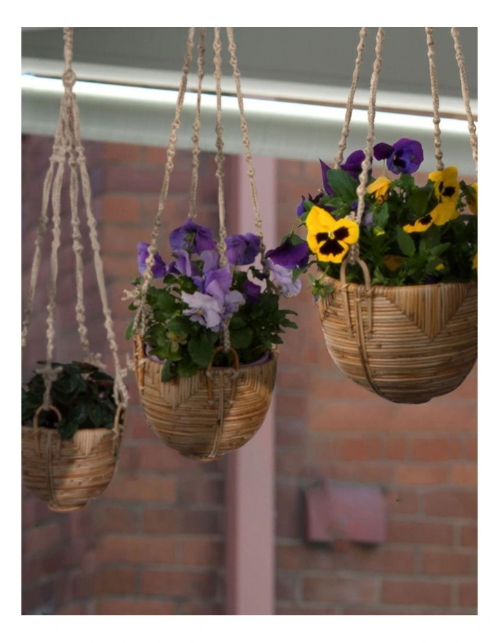 Fab Habitat Savar Set Of 3 Handmade Cane Macrame Hanging Planters & Pot Holder image 2