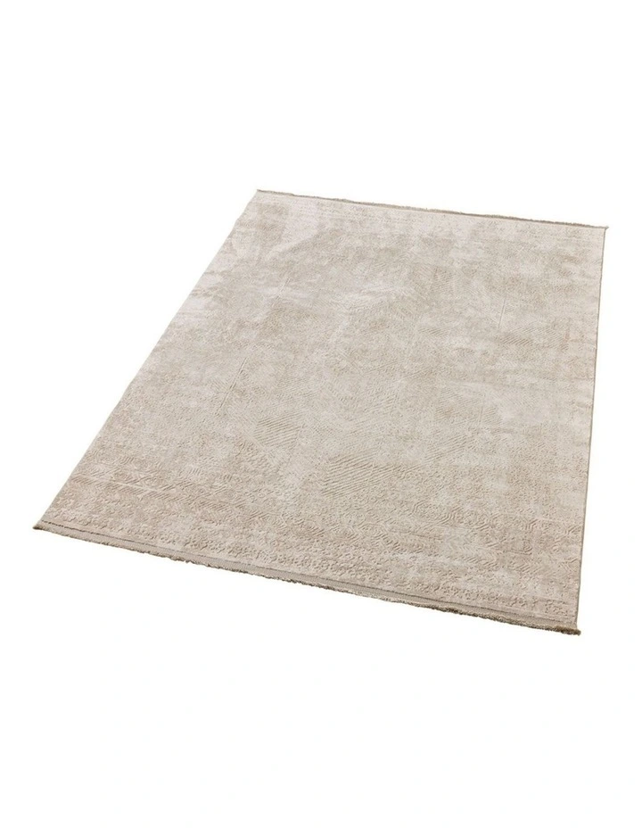 Fab Habitat Corin Distressed Rug in Beige image 6