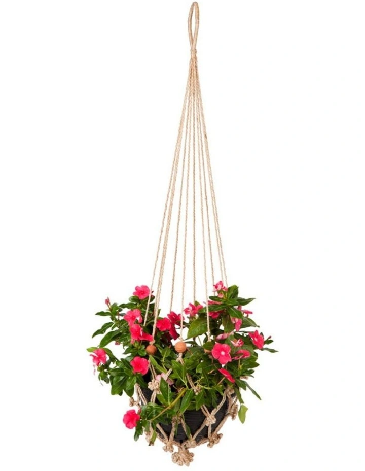 Fab Habitat Sika Red Beads Set of 4 Handmade Macrame Jute Plant Hanger and Pot Holder image 1