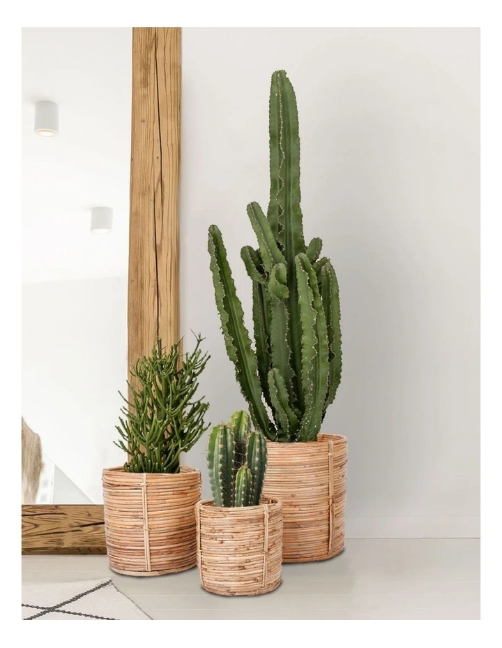 Fab Habitat Ubud Set of 3 Handmade Natural Cane Storage Basket and Planter image 2